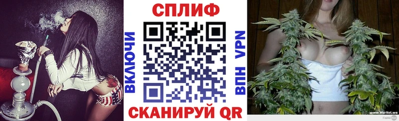 Бошки Шишки планчик  Починок 